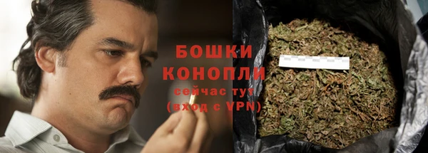 гидра Михайловск