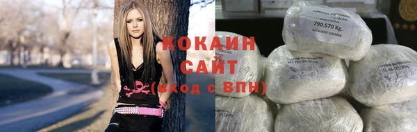 мяу мяу мука Бежецк