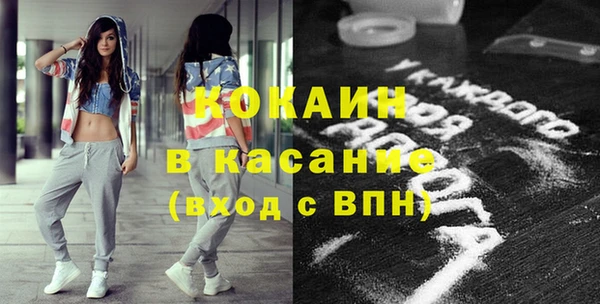ПСИЛОЦИБИНОВЫЕ ГРИБЫ Михайлов