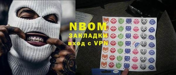 ПСИЛОЦИБИНОВЫЕ ГРИБЫ Михайлов