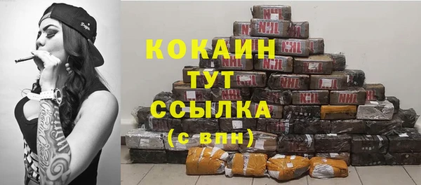 ПСИЛОЦИБИНОВЫЕ ГРИБЫ Михайлов